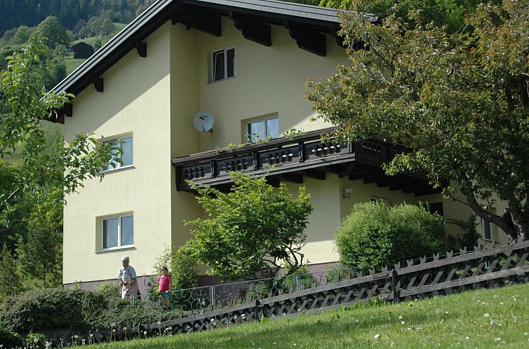 Appartement Große Wohnung in Silbertal mit Großem Garten