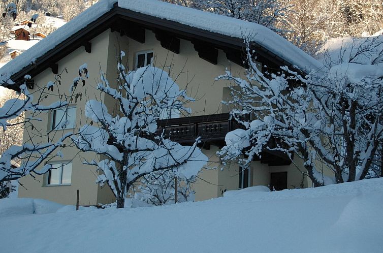 Appartement Große Wohnung in Silbertal mit Großem Garten