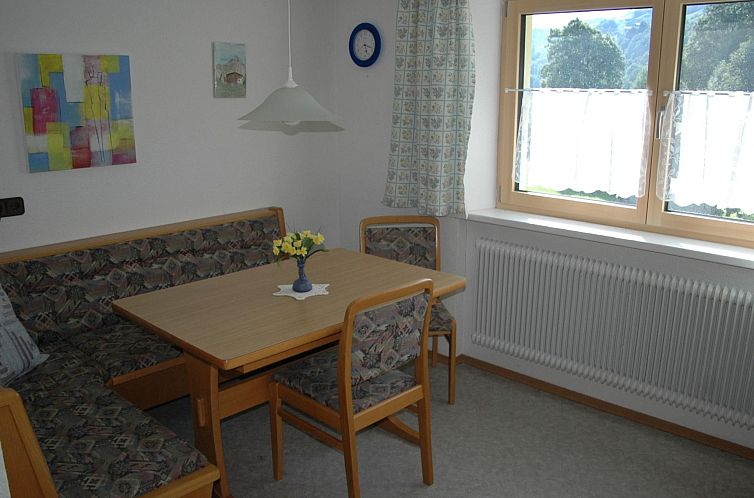 Appartement Große Wohnung in Silbertal mit Großem Garten