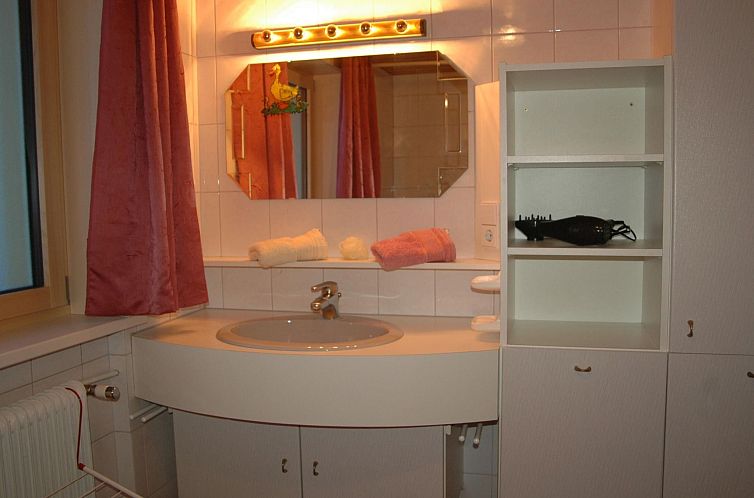 Appartement Große Wohnung in Silbertal mit Großem Garten