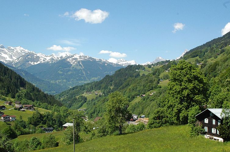 Appartement Große Wohnung in Silbertal mit Großem Garten