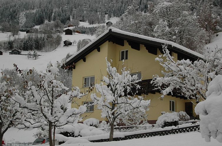 Appartement Große Wohnung in Silbertal mit Großem Garten