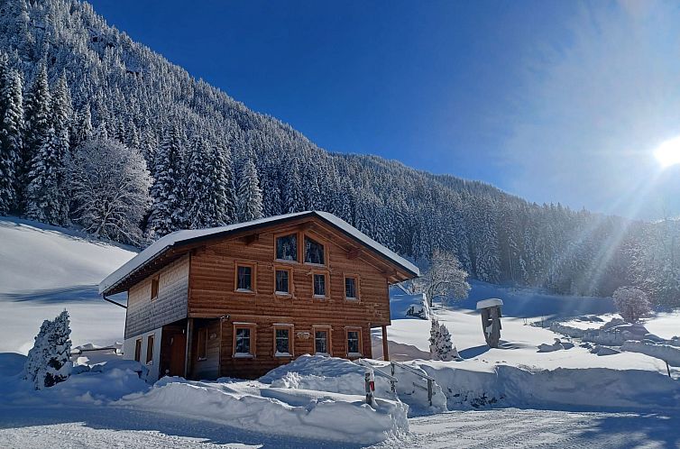 Appartement Wohnung in Sankt Gallenkirch mit Terrasse, Grill