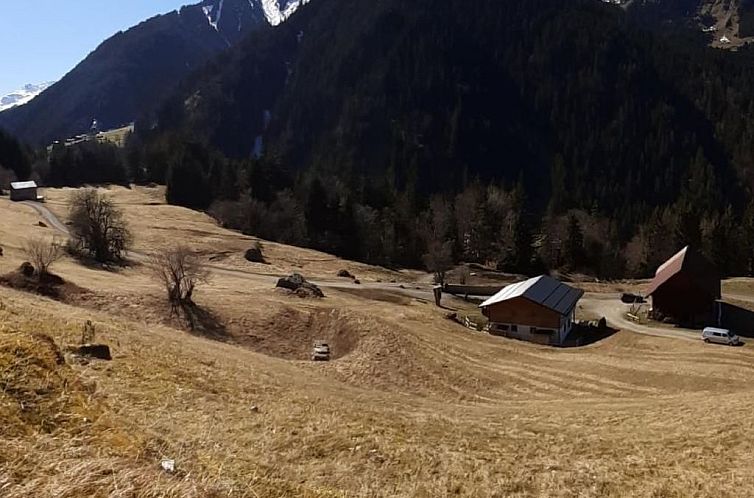 Appartement Wohnung in Sankt Gallenkirch mit Terrasse, Grill