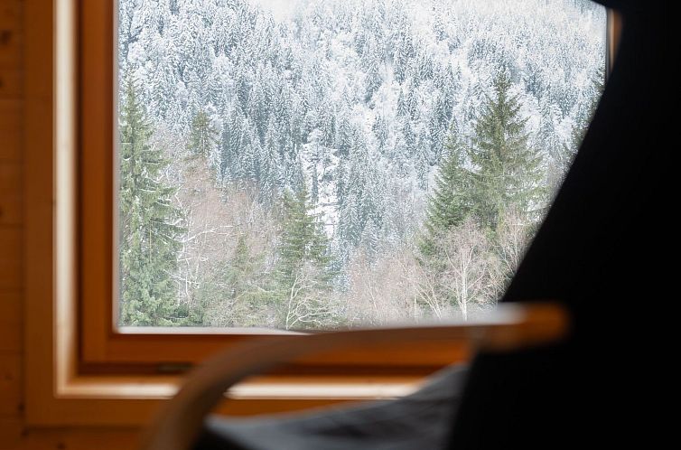 Appartement Wohnung in Sankt Gallenkirch mit Terrasse, Grill