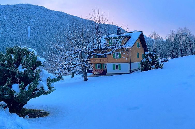 Vakantiehuis Montafoner Bauernhaus in Gortipohl