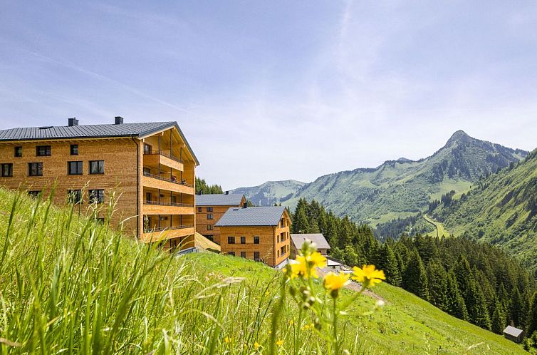 Unterkunft 1183903 - Appartement Vorarlberg - Appartement in Damüls