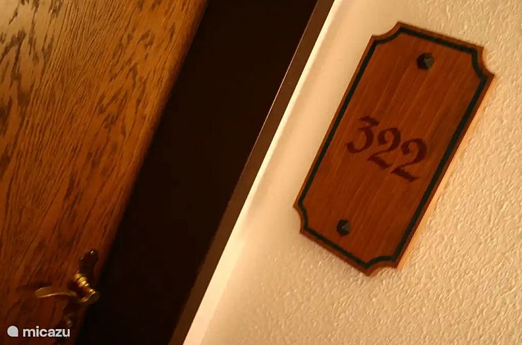 Mellau Appartement 322
