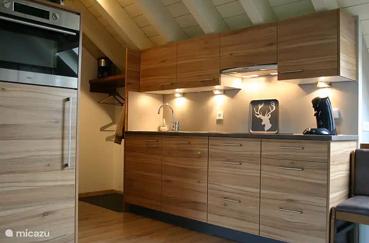Mellau Appartement 322