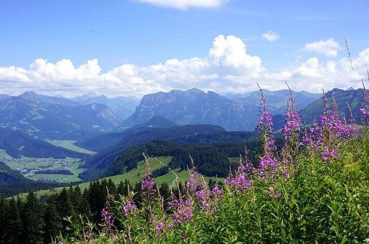 Appartement Neue Ferienwohnung in Schwarzenberg mit Garten u