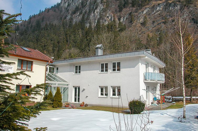 Guest house 11885002 - Apartment Vorarlberg - Appartement Dobler