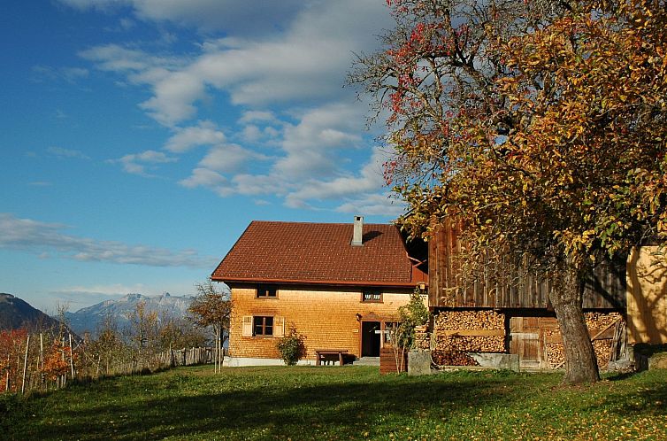 Vakantiehuis Dünser in Dünserberg