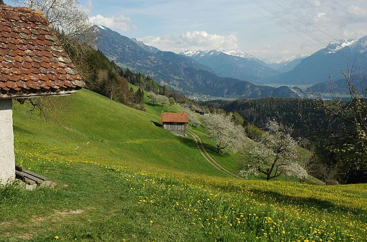 Vakantiehuis Dünser in Dünserberg