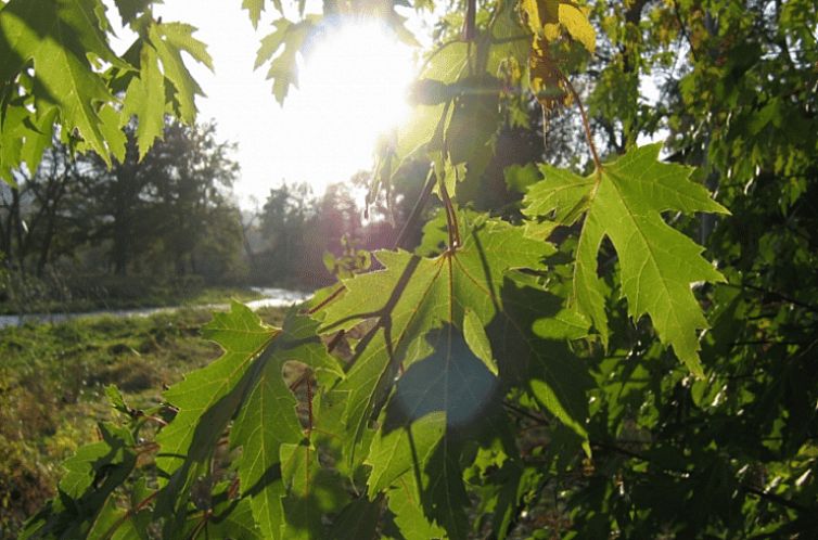 Vakantiehuis in Janowice Wielkie