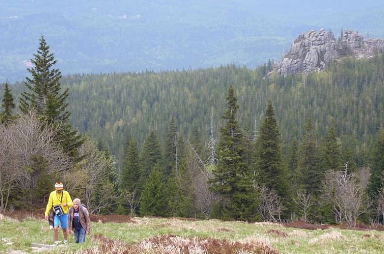 Vakantiehuis in Janowice Wielkie