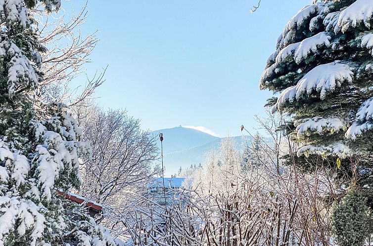 Vakantiehuis Holiday home in the Giant Mountains