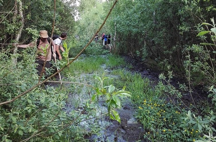 Vakantiehuisje in Dolistowo Stare