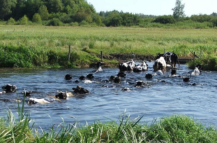 Vakantiehuisje in Dolistowo Stare