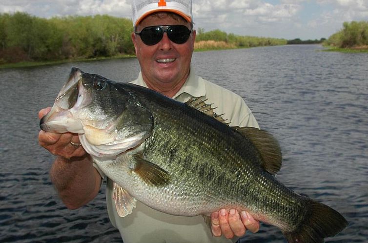 Holiday Inn Express Hotel & Suites Palm Bay, an IHG Hotel