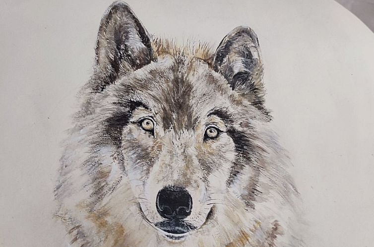 Vakantiehuis Tor der Berge - Hütte Wolf