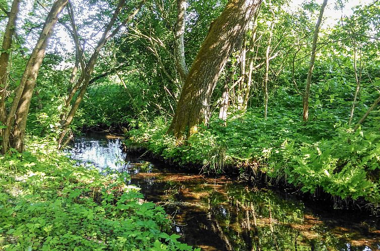 Vakantiehuis Zatylówka Dom na Wyspie