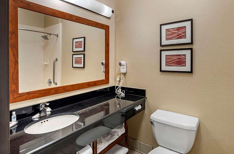 Comfort Inn & Suites San Francisco Airport West