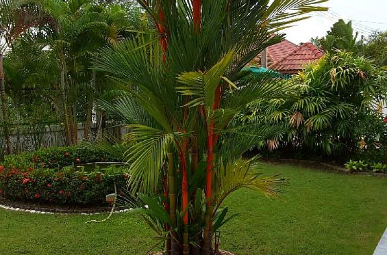 Little Paradise