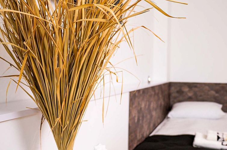 Appartement "Apartment 18B" mit Schwimmbad