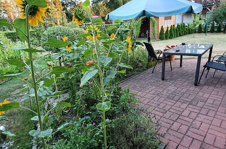 Vakantiehuis Gartenappartement an der polnischen Ostseeküst