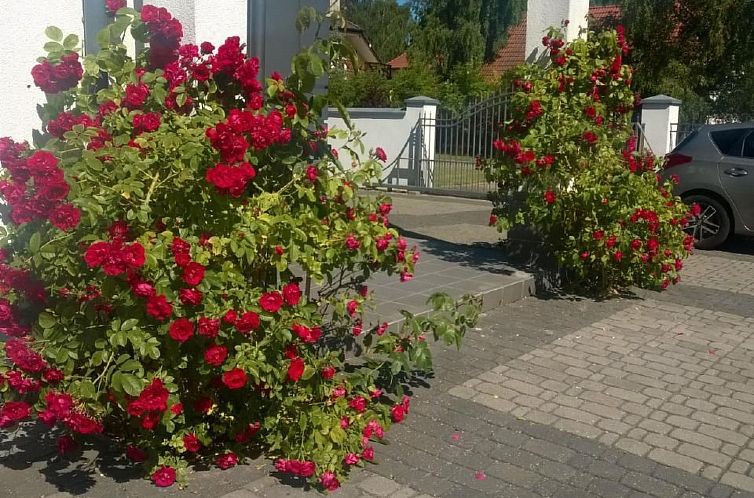 Appartement Wohnung in Rowy mit Grill, Terrasse, Parkplatz u