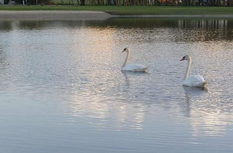 Appartement Blockhütte mit Grill und Terrasse in Gleźnówk