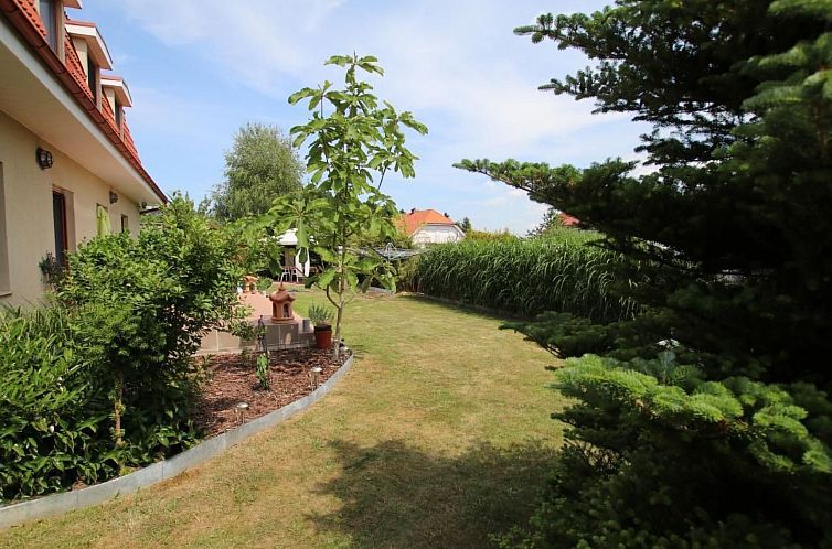 Appartement mit Terrasse