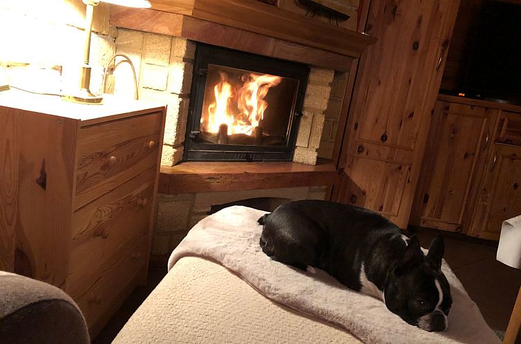 Appartement Willa Kinga z kominkiem