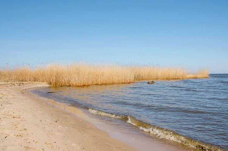 Vakantiehuis Seefalke