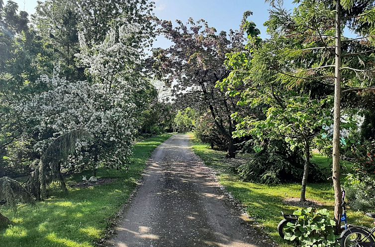 Vakantiehuis Meer, Landschaft, Stille - Ferienhäuser in den