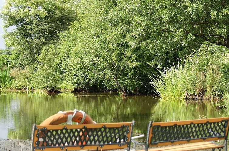 Vakantiehuis Meer, Landschaft, Stille - Ferienhäuser in den