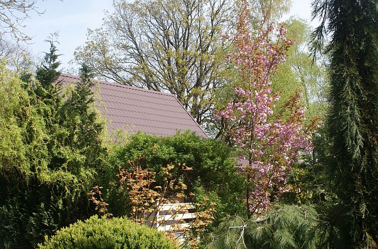 Vakantiehuis Meer, Landschaft, Stille - Ferienhäuser in den