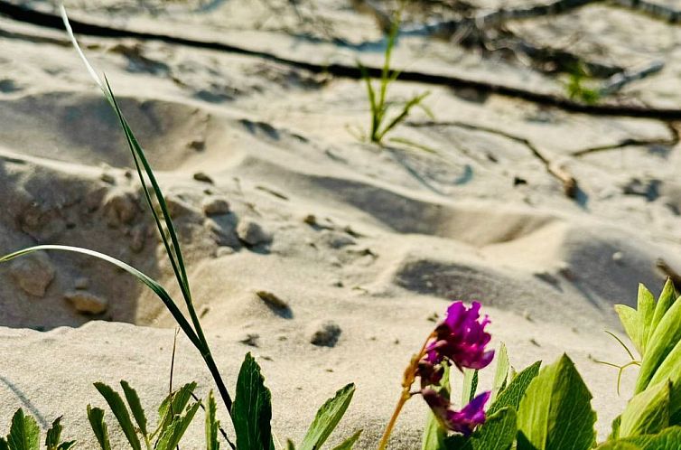 Vakantiehuis Komfortables Ferienhaus an der Ostseeküste