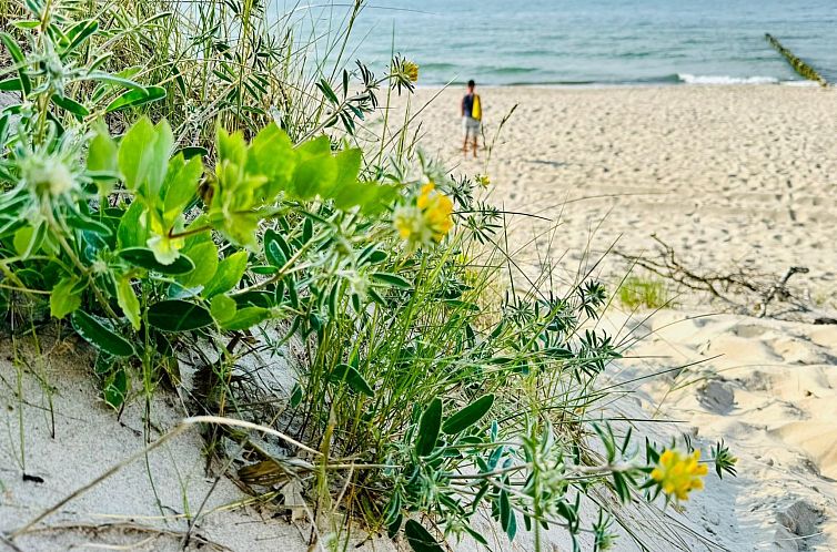 Vakantiehuis Komfortables Ferienhaus an der Ostseeküste