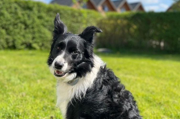 Appartement Wohnung mit Blick auf das Wasser
