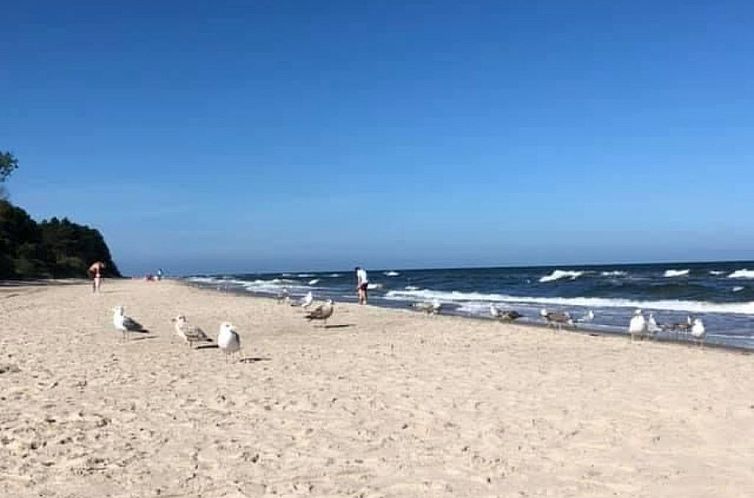 Vakantiehuis Schönes Ferienhaus für 7 Personen und 1 Kind