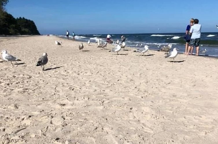 Vakantiehuis Schönes Ferienhaus für 7 Personen und 1 Kind