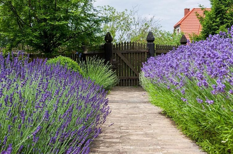Vakantiehuis in Gąski mit Gepflegtem Garten
