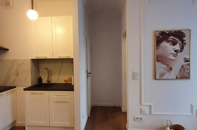 Appartement BESSERER PLATZ: Klassisches Warschau