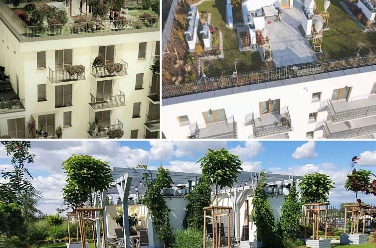 Appartement BESSERER PLATZ: Klassisches Warschau