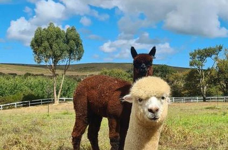 White Water Farm