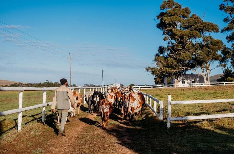 White Water Farm