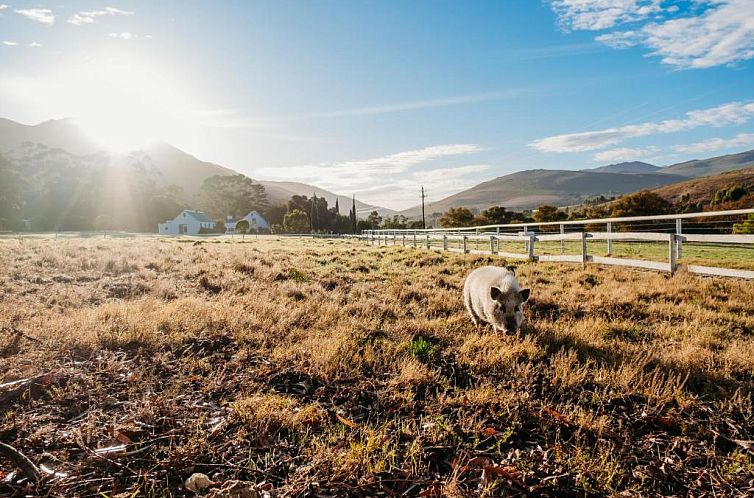 White Water Farm