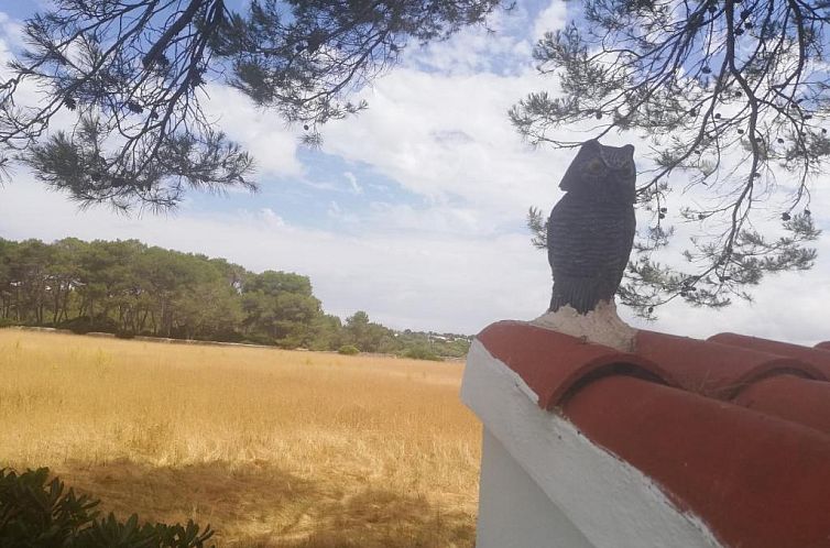 Es Pins