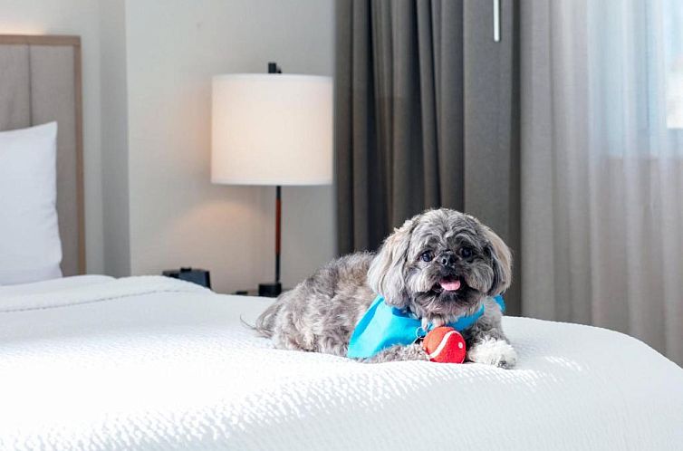 Residence Inn by Marriott Miami Aventura Mall